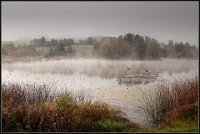 703 - BRUME SUR LE LAC - LARUELLE SUZANNE - belgium <div